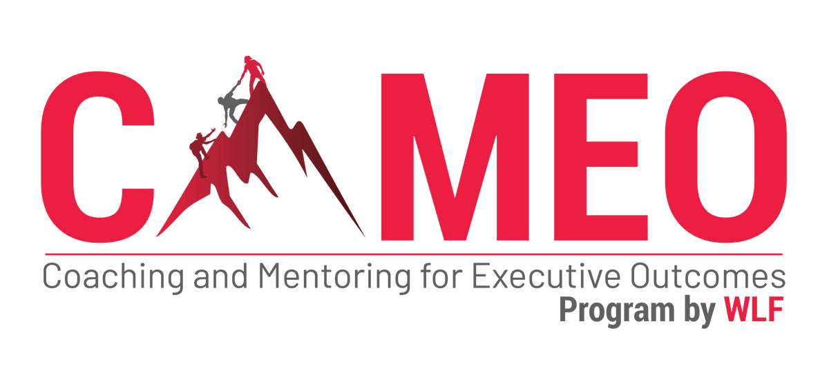 Coaching and Mentoring for Executive Outcome (CAMEO)