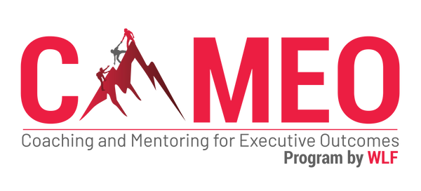 Coaching and Mentoring for Executive Outcome (CAMEO)